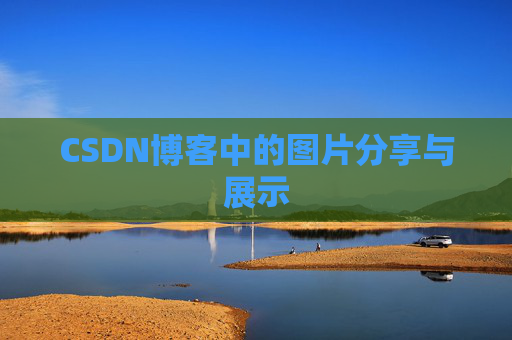 CSDN博客中的图片分享与展示